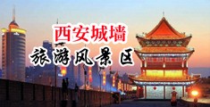 720欧洲荡妇中国陕西-西安城墙旅游风景区